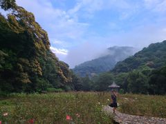 -广州市石门国家森林公园