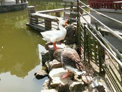 -上海美兆健康医疗体检中心(古北店)