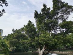 -晓港公园