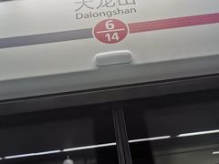 -大龙山(地铁站)