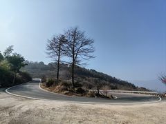-四明山国家森林公园