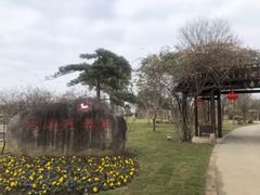 -鹅湖玫瑰文化园