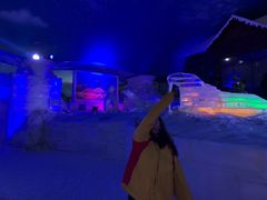-世界之窗阿尔卑斯冰雪世界
