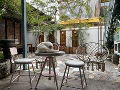 -喵屿·大理花园猫咖