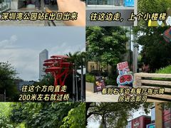 -Nord Grill&Bar Highland诺德西餐(深圳欢乐海岸店)