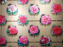 -金花茶公园
