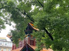 -宝通禅寺