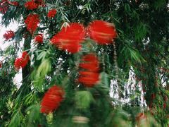 -白鹭湾湿地公园