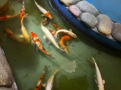 -常州海昌海洋探索馆