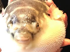 -永安鱼庄·镇江菜(东吴路店)