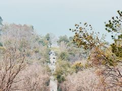 -东湖磨山景区