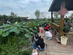 -同銮特种养殖场·龙虾垂钓