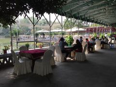 -白鹭湾湿地公园