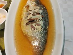 清蒸鲥鱼-光明邨大酒家(淮海路店)