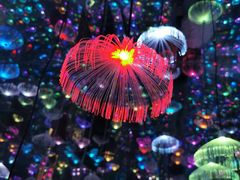 -梵高星空艺术馆(北京旗舰店)