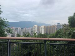 -金鸡山公园
