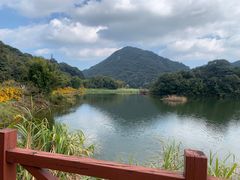 -广州市石门国家森林公园