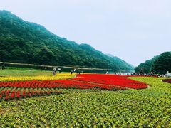 -广州市石门国家森林公园