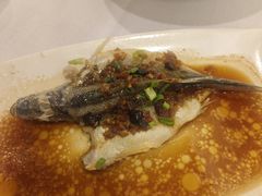 -顺峰(南二环店)