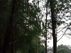 -四海公园(南山区)