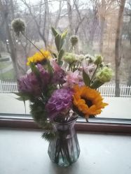 -皇家月府月子中心(沈阳店)