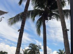 -雾山韩式烤肉·海南糟粕&椰子鸡火锅·海景餐厅(三亚绿发山海天JW万豪酒店)