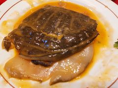 红煨甲鱼-潇湘甲鱼村(清河店)