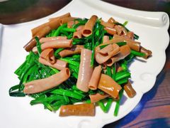 -鲁前海沿儿