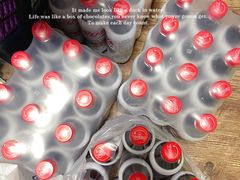 -盒马鲜生(红莲店)