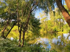 -西溪国家湿地公园