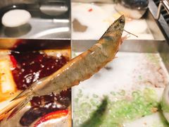 -海底捞火锅(群光广场店)