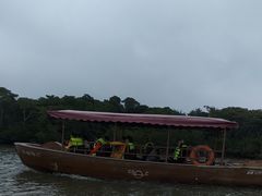 -东寨港红树林旅游区