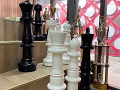 -常青藤国际象棋(新奥店)