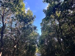 -海宁市观音寺