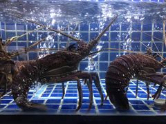 -徐记海鲜(大明宫|北二环店)