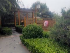 -郑州银基黄帝宫御温泉