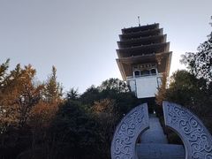 -临平公园(临平街道)