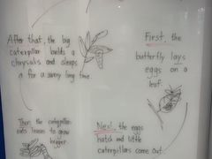 -奇尔思青少儿·语言·艺术·演讲(顾戴路店)