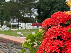 -二沙岛艺术公园