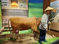 -特克斯八卦城