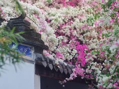 -深圳国际园林花卉博览园