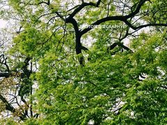 -乐山大佛风景名胜区乌尤寺南门-售票点