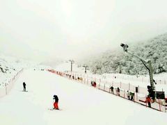 -太子岭滑雪场