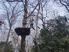 -WeLope紫金山探险公园