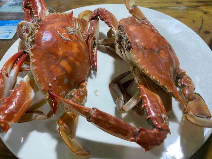 太陽火海鮮燒烤餃子(海水浴場店)