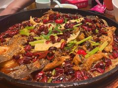 -老板恋上鱼(印象城店)