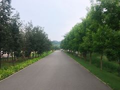 -东郊湿地公园