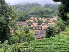 -杨家堂村