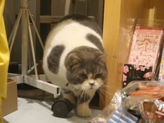 -解忧集市(北京路天河城店)