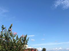 -南麂列岛